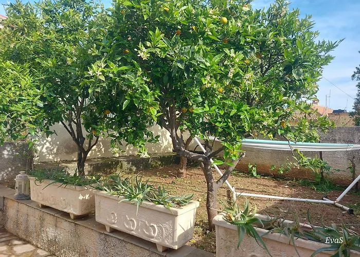 Octopus Garden, Koralli Διαμέρισμα *