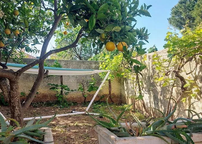 Διαμέρισμα Octopus Garden, Koralli