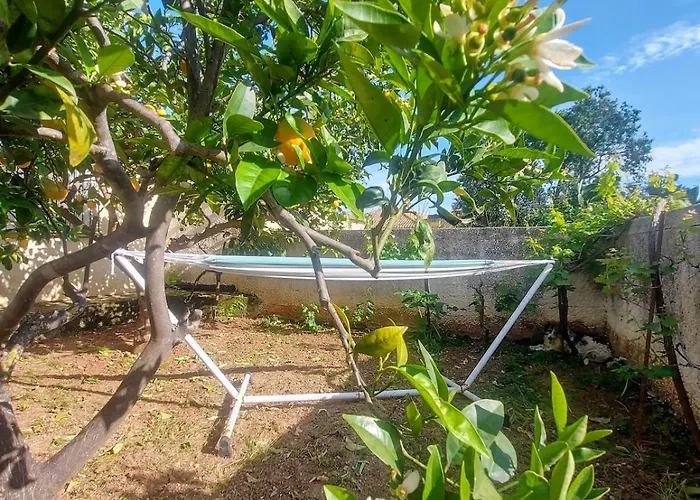 Octopus Garden, Koralli Διαμέρισμα *