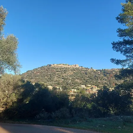 Διαμέρισμα Octopus Garden, Koralli