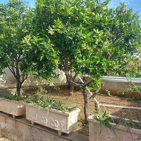 Octopus Garden, Koralli Lejlighed *