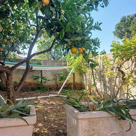 Διαμέρισμα Octopus Garden, Koralli