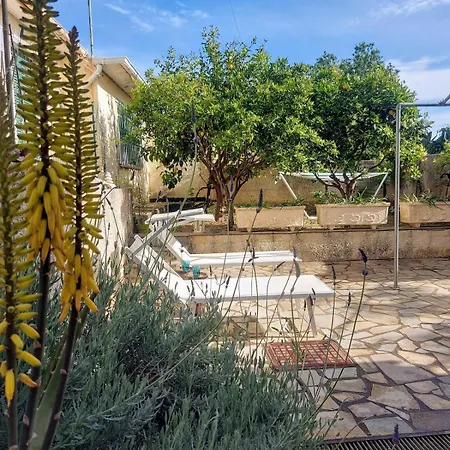 Octopus Garden, Koralli Travliata