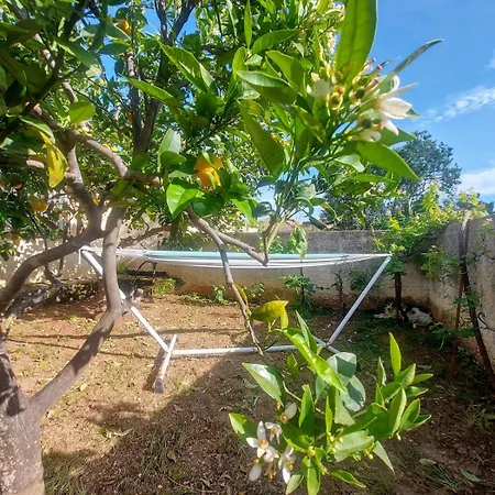 Octopus Garden, Koralli Διαμέρισμα *
