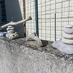 Octopus Garden, Koralli