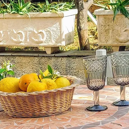 Octopus Garden, Koralli