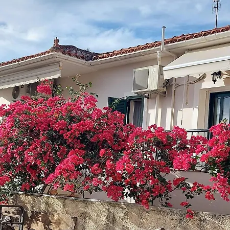 Apartment Octopus Garden, Koralli *
